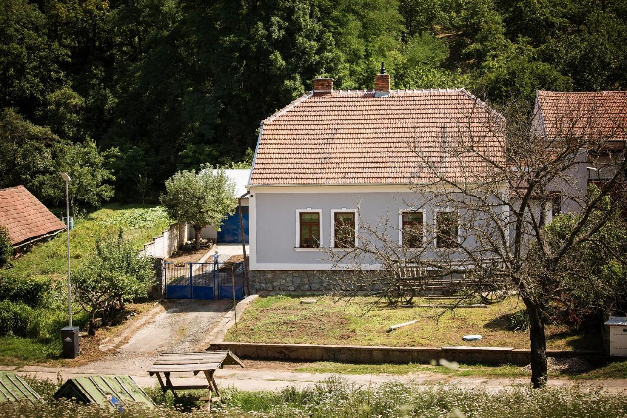 Chalupa U Jezka Morkŭvky Buitenkant foto